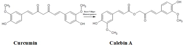 Sabinsa-In-text-Image.png