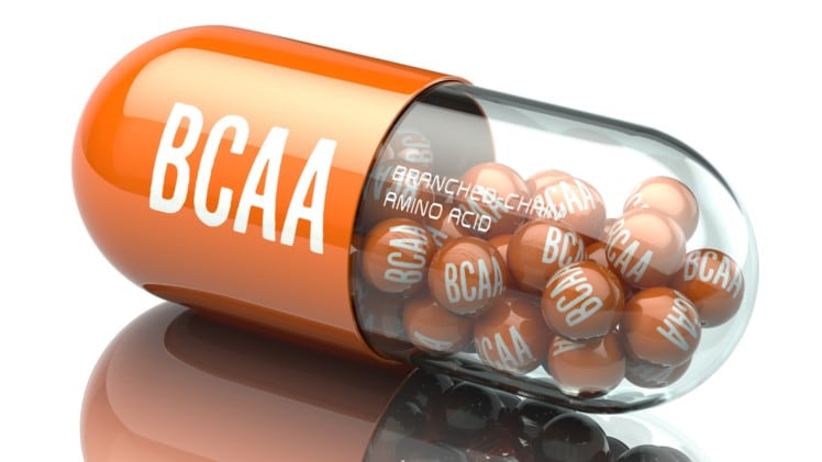 Excessive BCAA intake linked to over-eating and obesity: Australian mice study