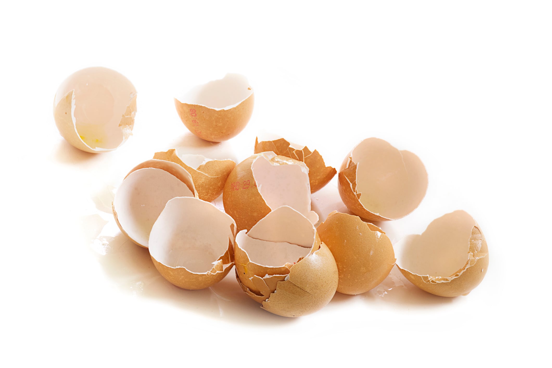 RCT-supports-efficacy-of-hydrolyzed-eggshell-membrane-ingredient-for-hair-and-skin.jpg
