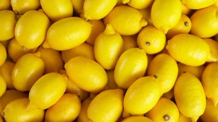 Study-shows-Eriomin-s-lemon-flavonoids-at-work-in-prediabetic-gut.jpg