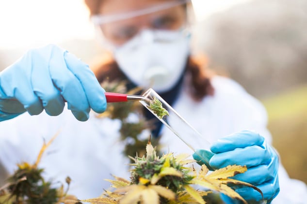 Thousands of additional CBD products added to FSA public list 