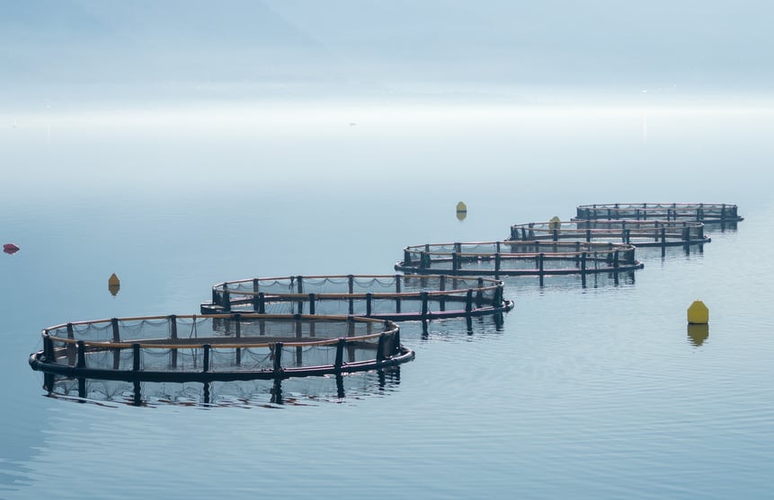 aquaculture-iStock-RADZONIMO.jpg