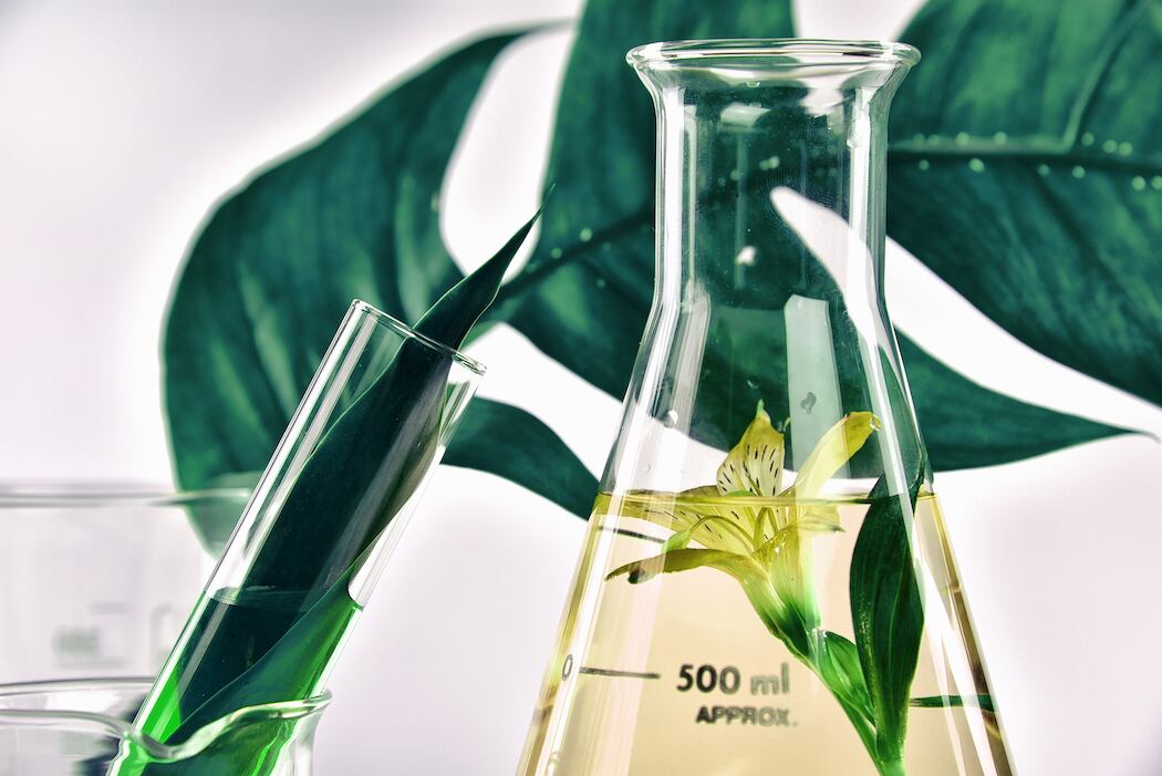 Biotech-firm-Conagen-scales-up-high-purity-salidroside-production.jpg