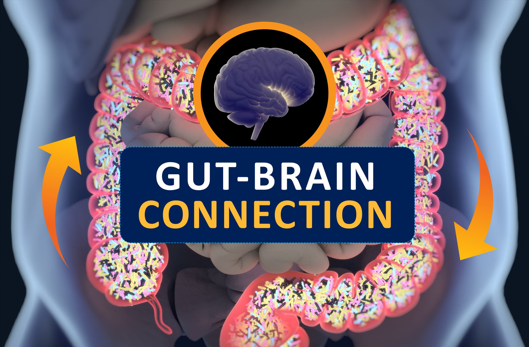 Kaneka self-affirms GRAS status for gut-brain axis DR7 probiotic