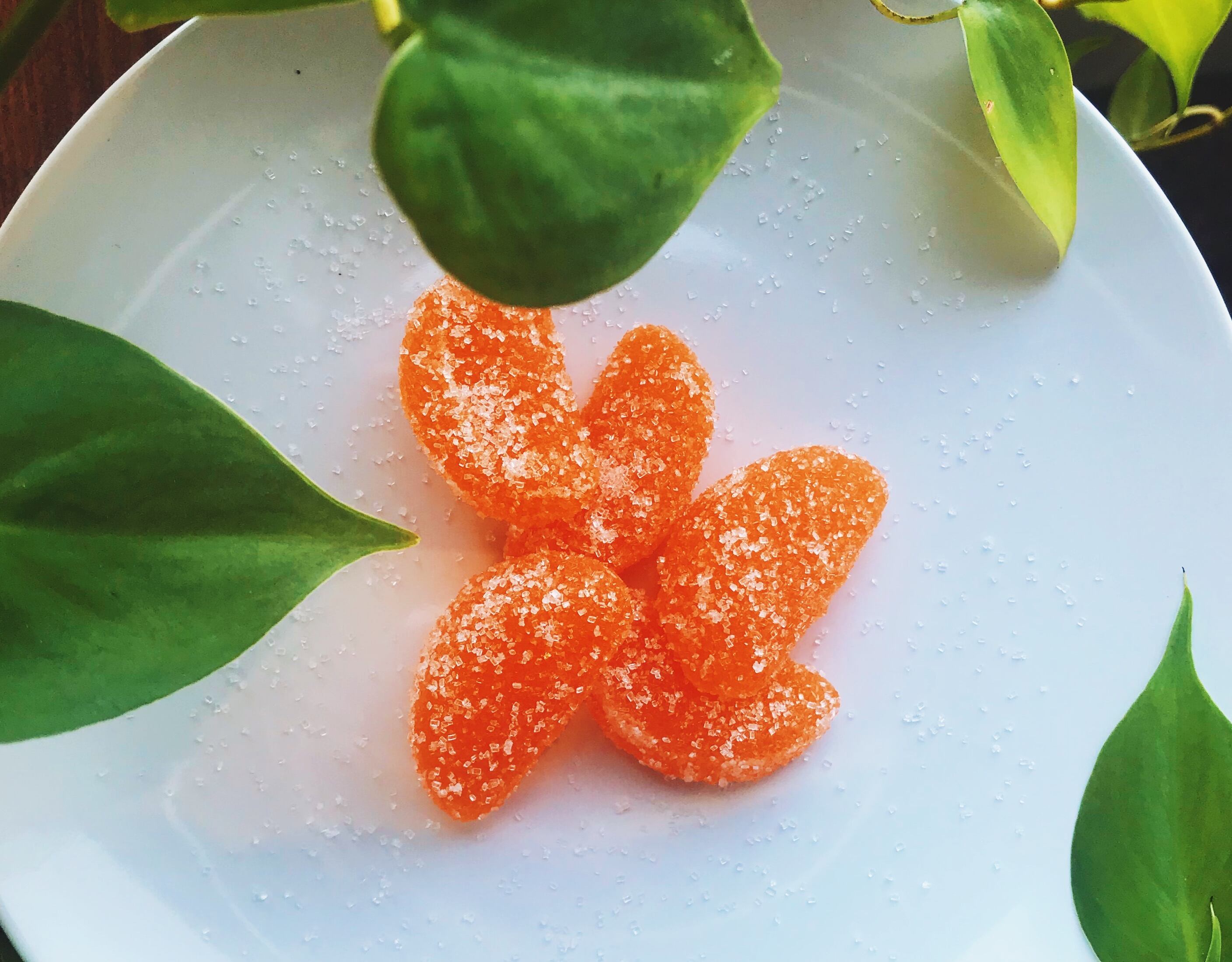 PURIS to debut pea-based alternative to gelatin for gummies