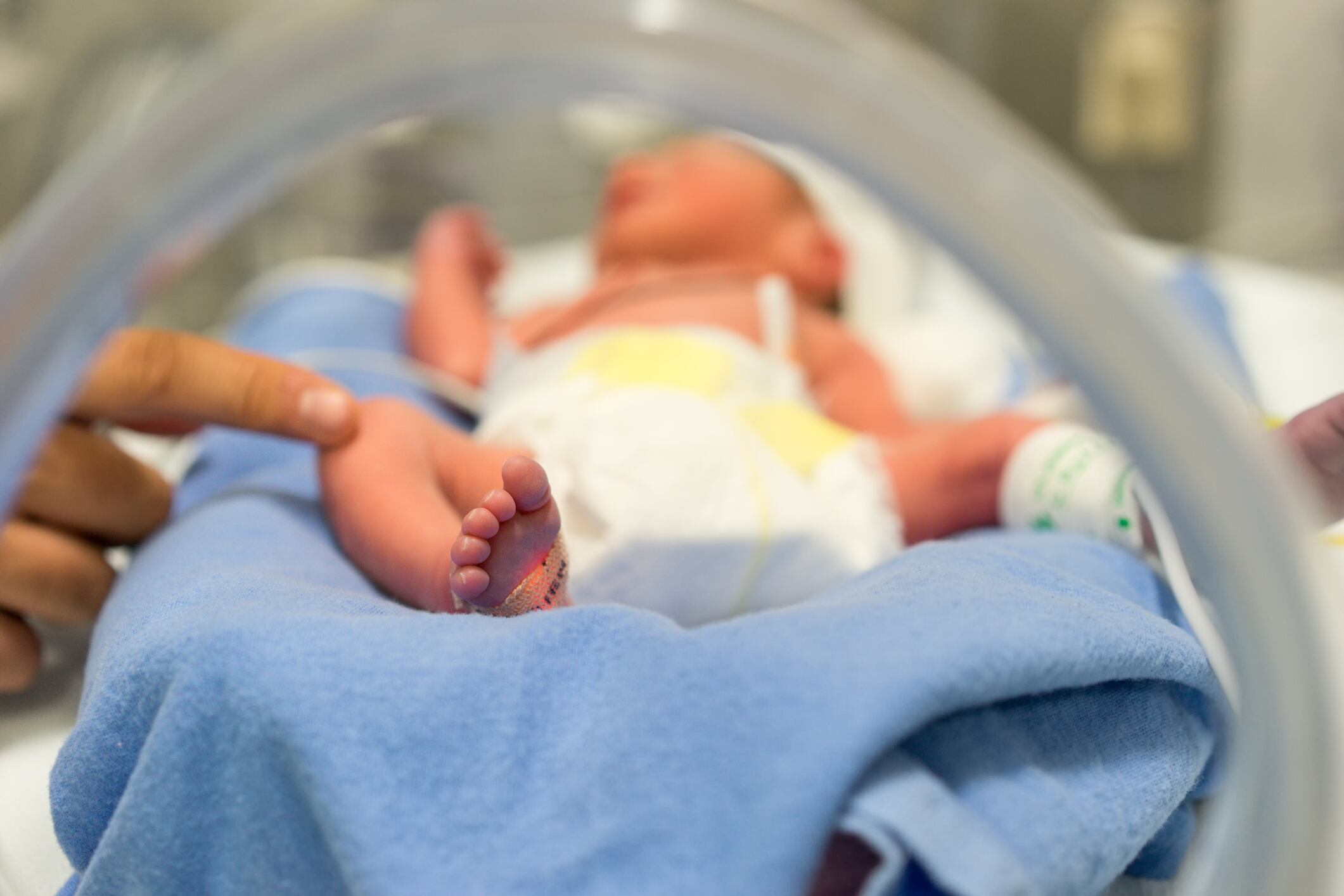 HMOs-for-NEC-Abbott-Johns-Hopkins-researchers-unlock-breastmilk-prebiotics-intestinal-mechanism.jpg
