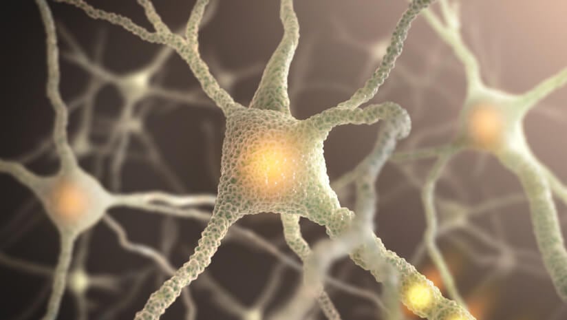 Study-explores-creatine-for-neuronal-health.jpg