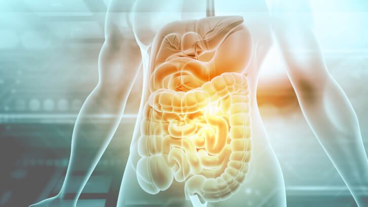 Antivirals-the-promising-potentials-of-microbiome-targeted-functional-foods.jpg