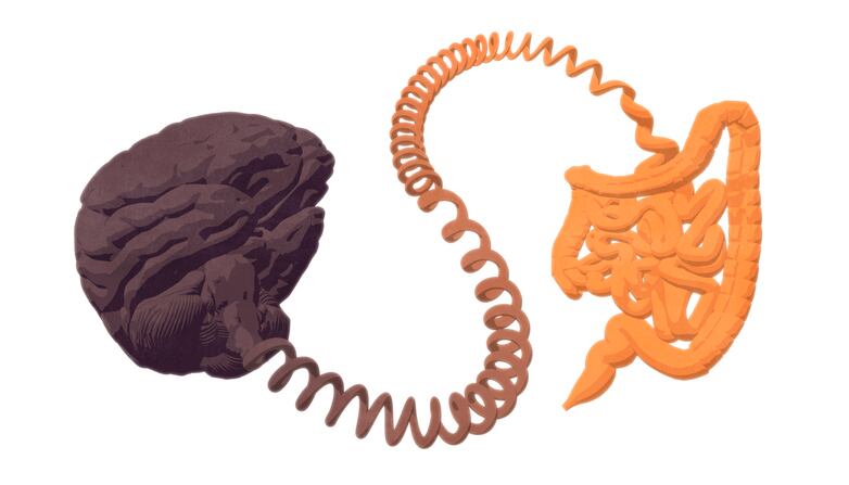 Nutrient supplementation beneficial for a range of mental disorders
