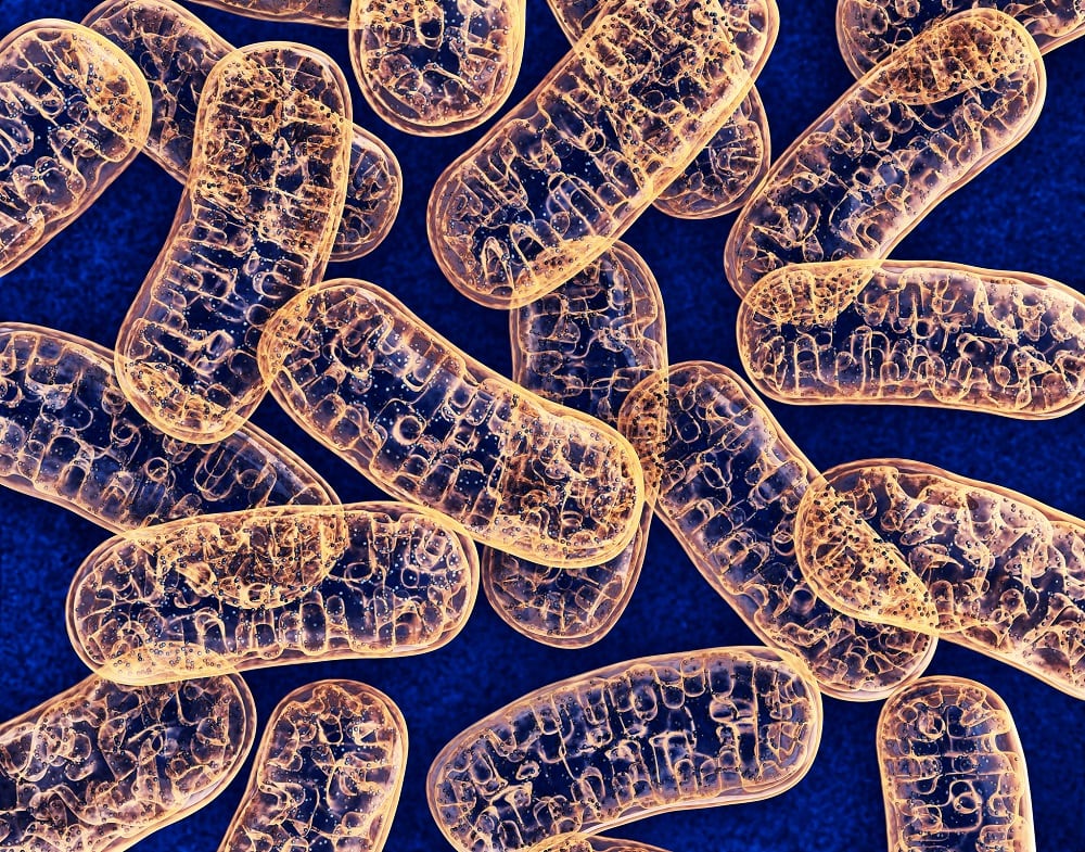 Study supports long-term safety of ChromaDex’s Niagen ingredient