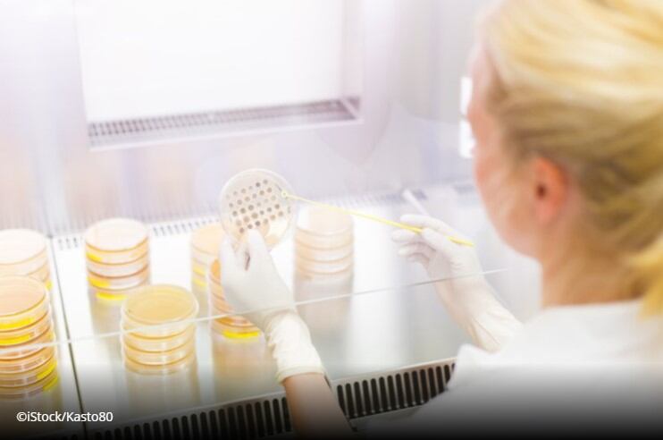 Faecal microbiota transplants may influence COVID-19 severity, suggest researchers