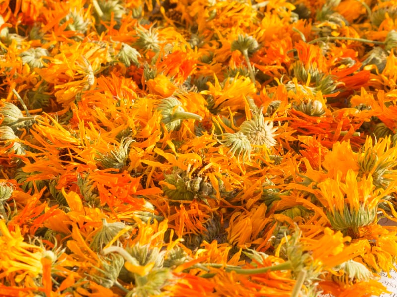 lutein-marigolds-eye.jpg