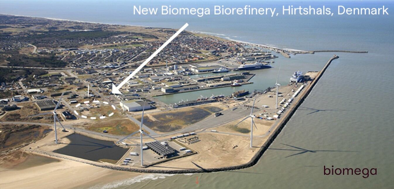 Biomega’s new biorefinery set sights on nutrition sector with fish oil offerings 