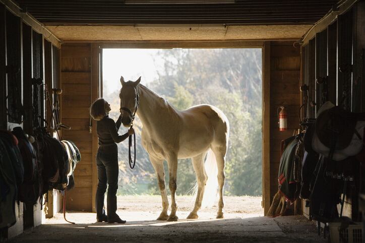 Emerging horse data to help Ayurvedic joint supplement manufacturer make waves in new market