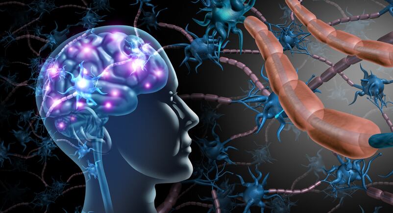 Gut-brain-study-8-week-supplementation-with-probiotic-reduces-depressive-symptoms.jpg