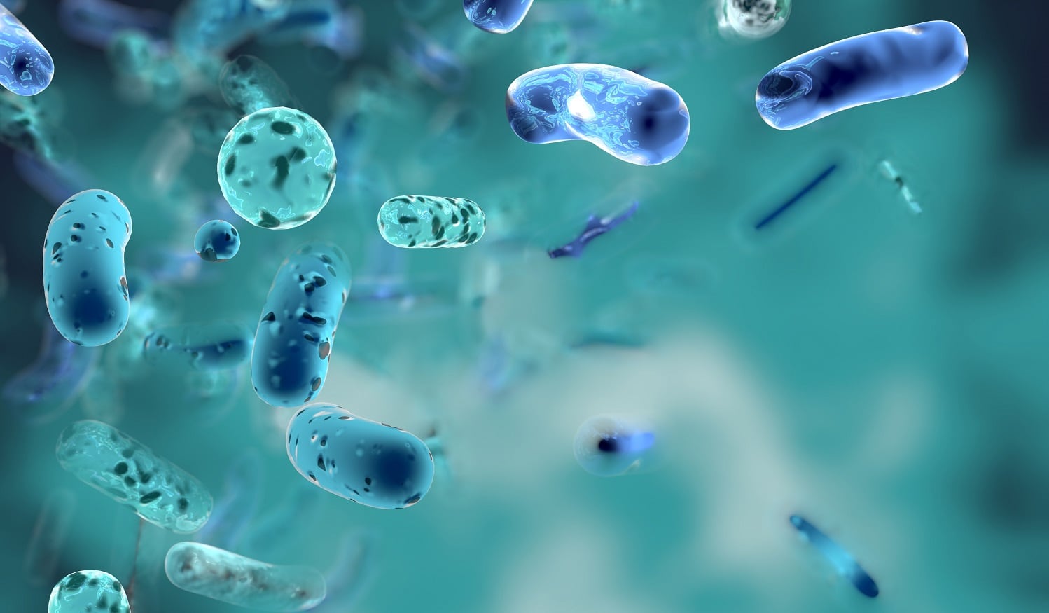 Probiotic LGG supplements may slow age-related cognitive decline: RCT