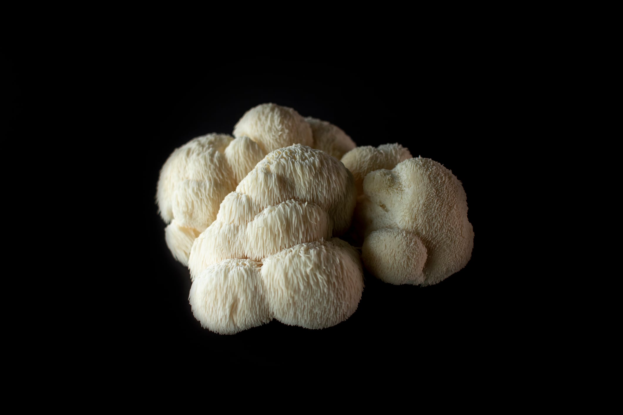 Has the industry missed a big trick with lion’s mane?