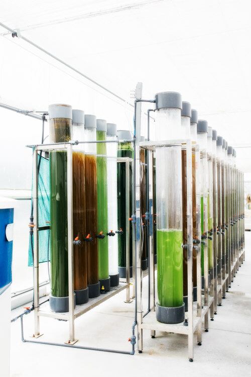 photocolumnar-reactors.jpg