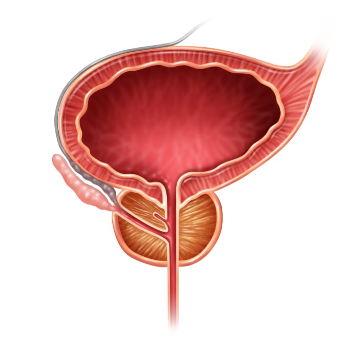prostate-cancer-men-male.jpg