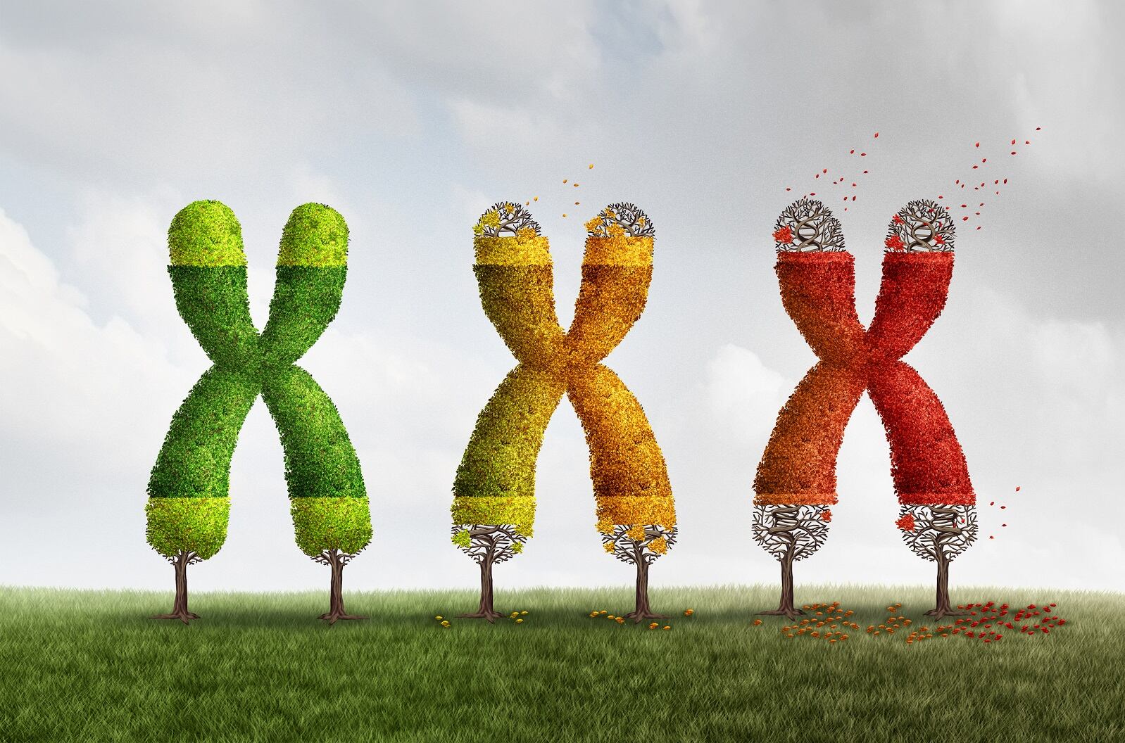 Higher dietary selenium intakes linked to younger ‘biological age’: Telomere study