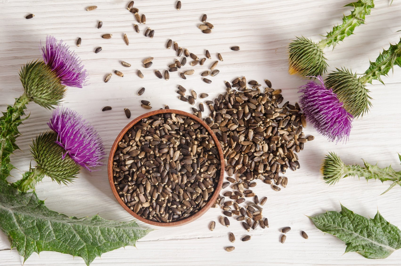 Adulterants Bulletin highlights ongoing problem of depleted Milk Thistle material