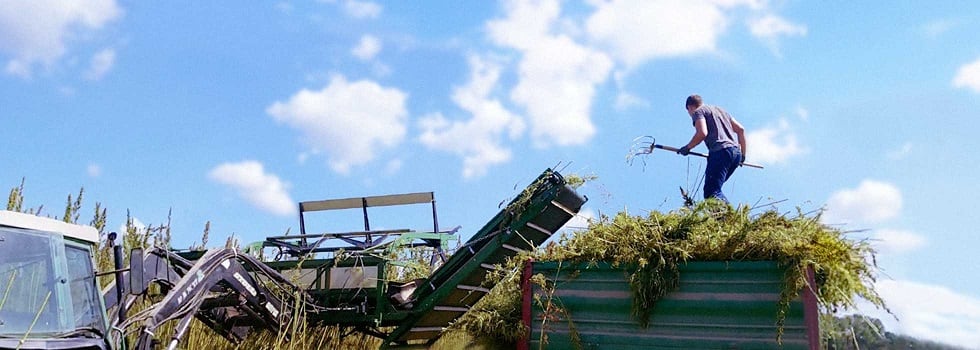 Anything-but-CBD-The-Real-Opportunity-in-Hemp.jpg