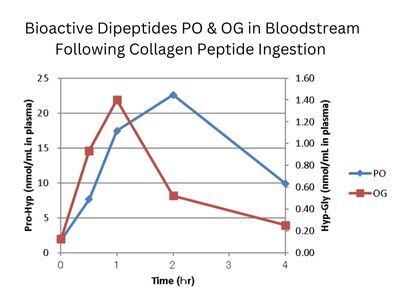 Bioactive-Dipeptides-PO-OG-Absoprtion.jpg