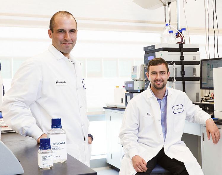 Geltor teams up with GELITA to commercialize animal-free ‘biodesigned’ collagen for supplements 