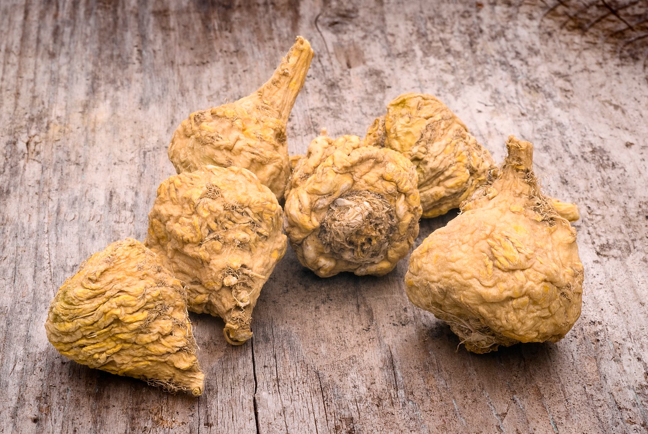 BAPP-bulletin-details-adulteration-of-Maca-root-and-root-extract.jpg