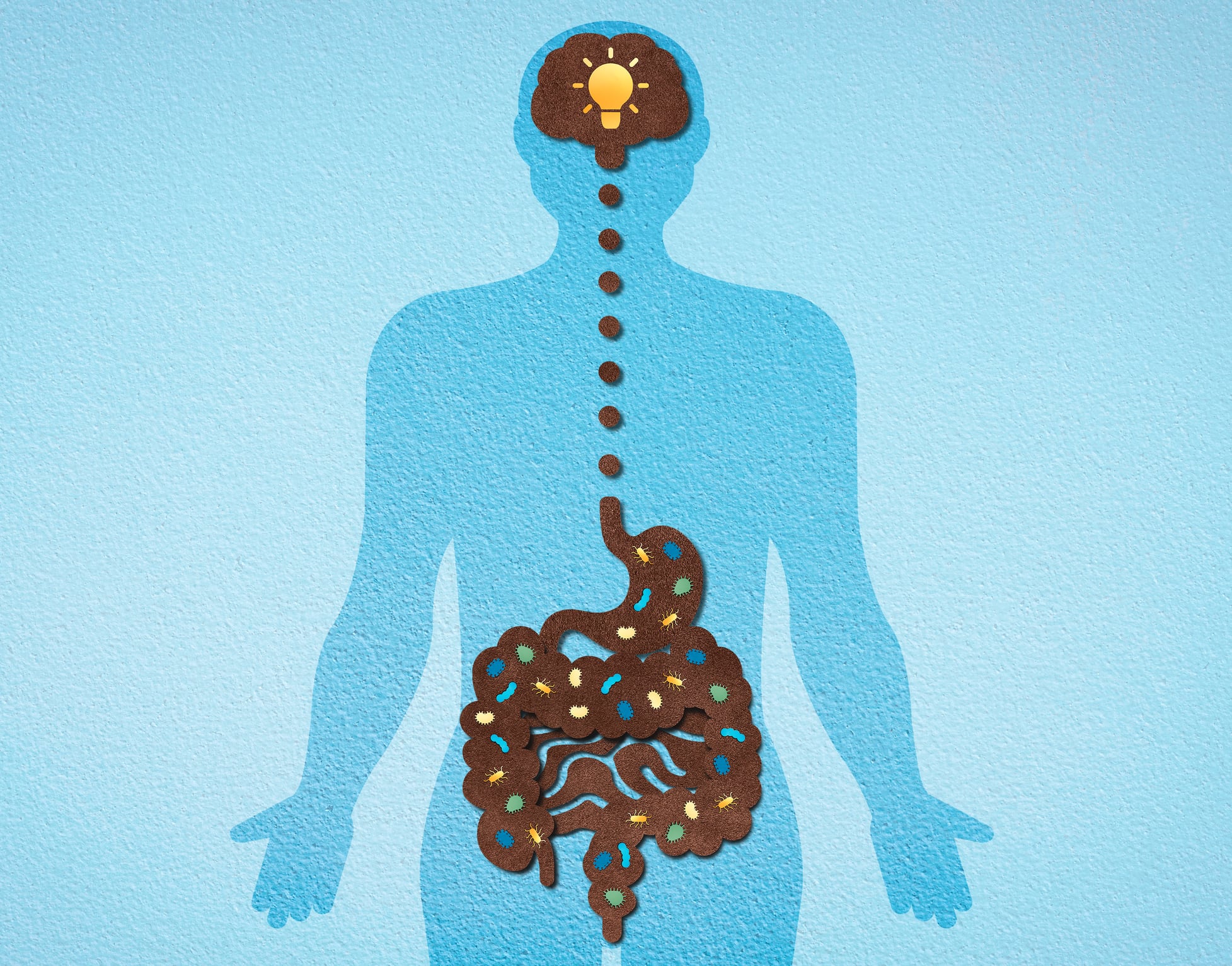 Obesity-related next-gen probiotic candidate may offer mood benefits via gut-brain axis