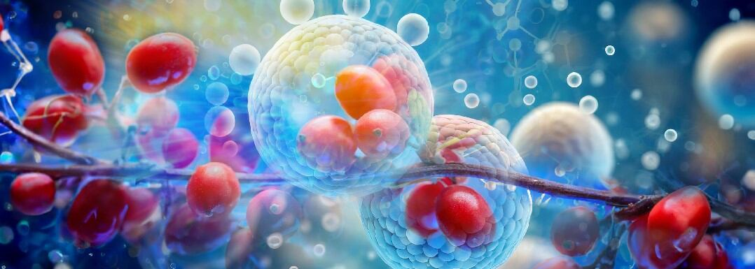 Fiber-Interlaced-Liposomal-FIL-encapsulated-berberine-formulation.jpg