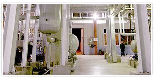 GLG-stevia-processing.jpg