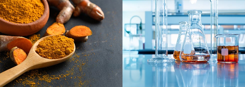 Theracurmin-R-Nurtured-by-Nature-Proven-by-Science-On-Brain-Health-and-Memory.jpg