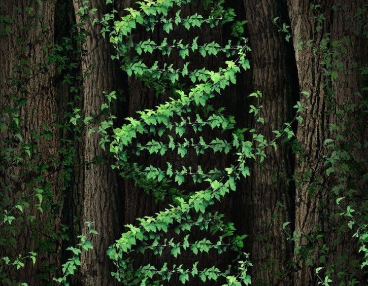 USP-meeting-tries-to-get-handle-on-rapidly-evolving-DNA-techniques.jpg