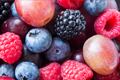 The polyphenols that give vibrant colors to berries and wine, bring key health benefits to value-added supplements
