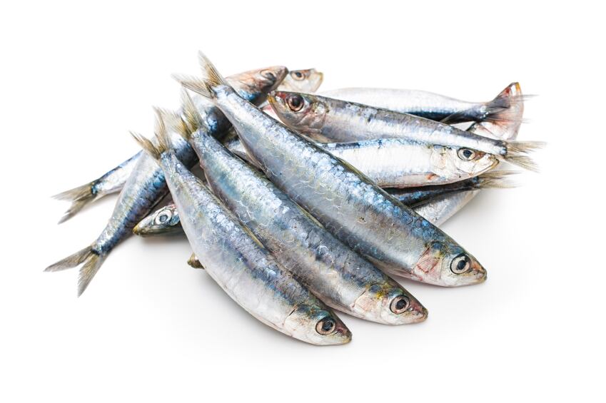 sardines-omega-3-fish-iStock.com-AlexRaths.jpg