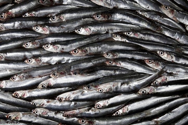 Vitux says research shows its ConCordix Smart Chew tech poised to reinvigorate omega-3s category