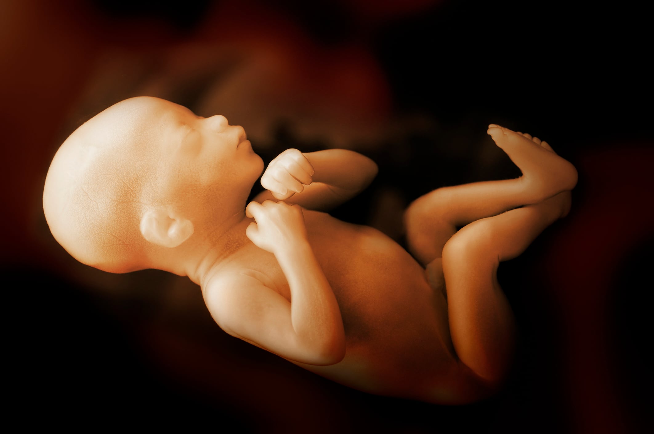 Obese pregnant women are missing the critical folic acid supplementation window