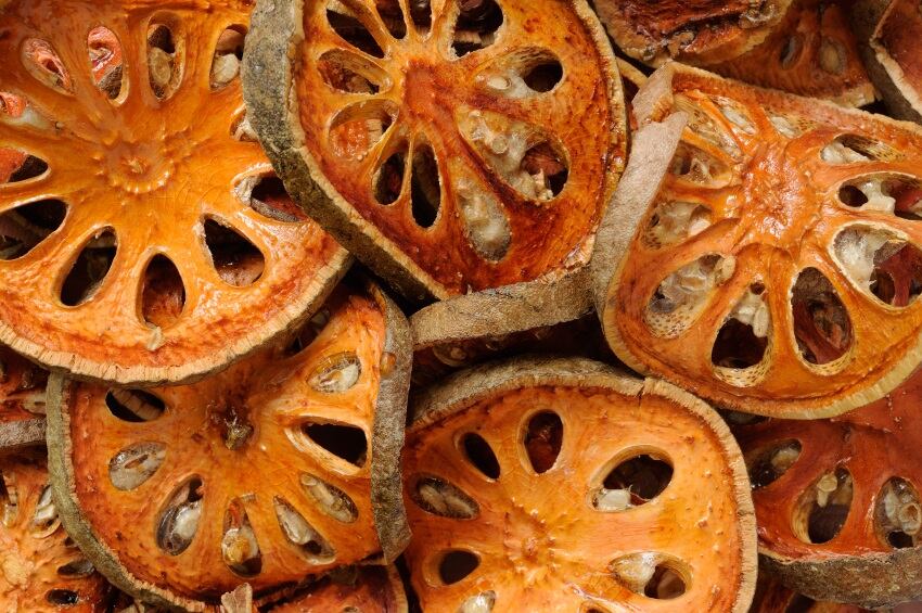 Bael-fruit.jpg