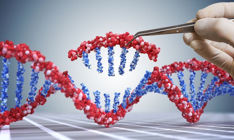 FDA, USDA and EPA launch joint biotechnology website