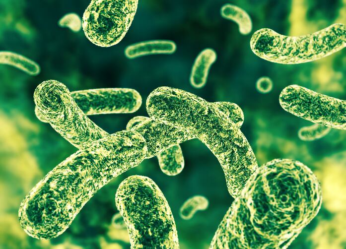 Clasado and Probi synbiotic increases lactate and SCFA production: Study