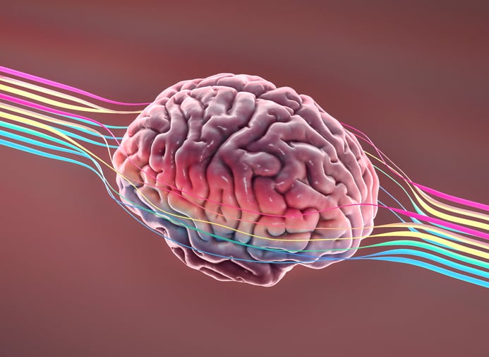 AIDP’s Magtein boosted memory scores in study on healthy adults