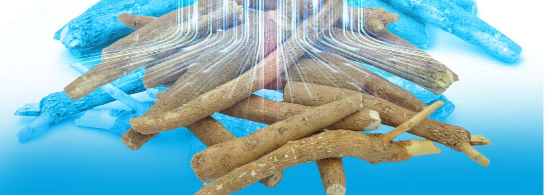 Asera-Ashwagandha-validated-in-new-clinical-study.jpg
