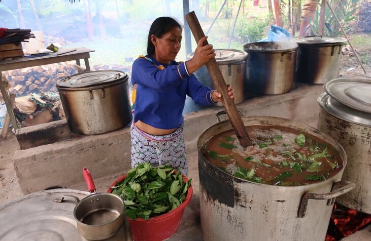 Despite-rising-popularity-ayahuasca-supplies-not-imperiled-as-yet-expert-finds.jpg