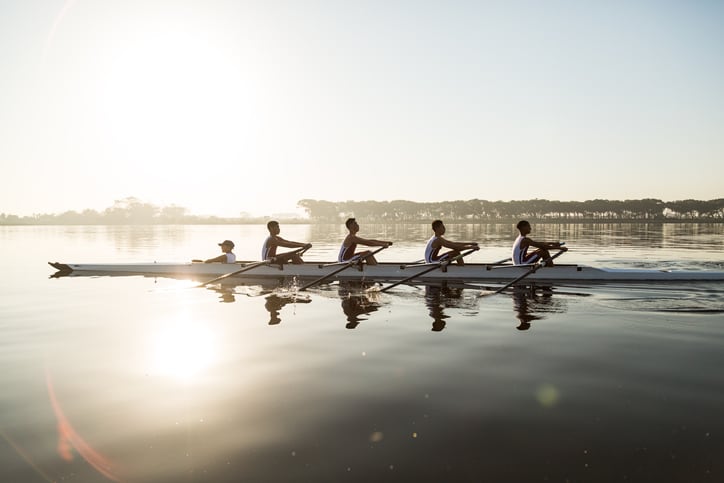 Astragalus extract balances rowers’ immune systems in study
