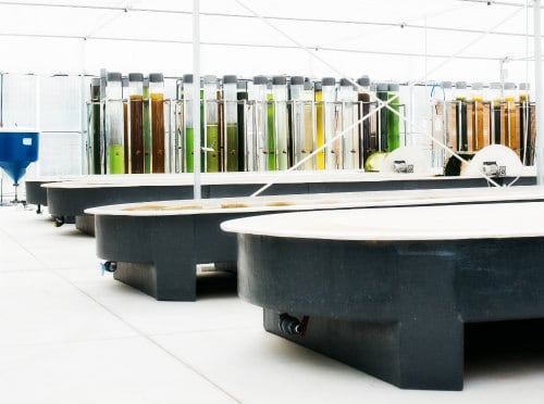 photocolumnar-reactors-and-indoor-facility.jpg