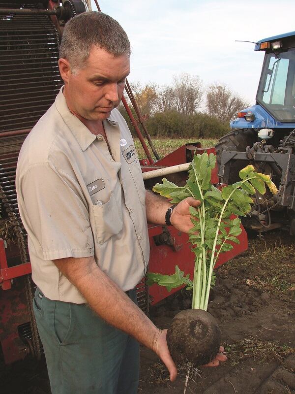 Radish-Harvest-2008-Standard-Process.jpg