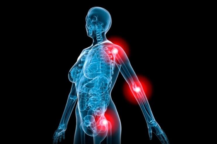 Probi probes the probiotic-bone link in university team up 