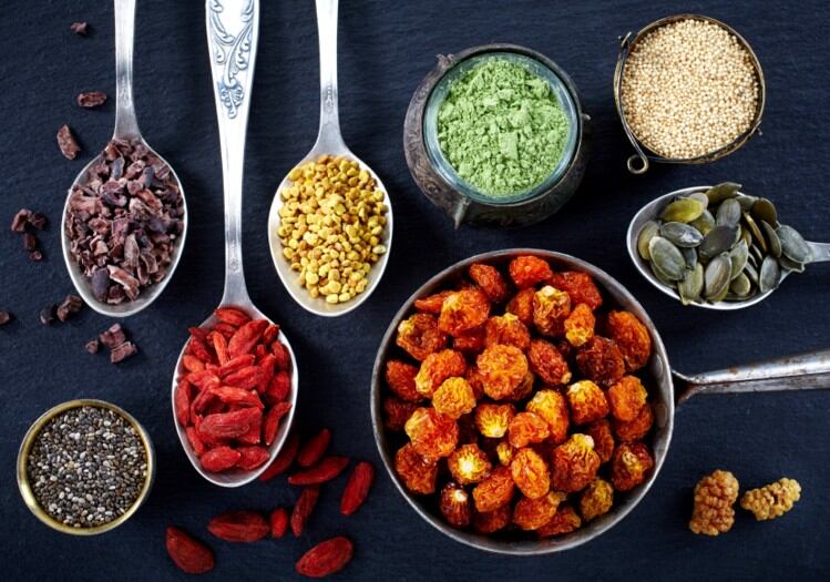‘Crop diversity underpins food security’: Scientists flag ‘enormous’ diversity loss