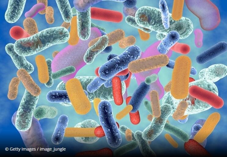 French-fermentation-experts-strengthen-research-ties.jpg